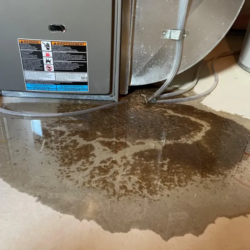 Appliance Leak Cleanup in Ogden, KS